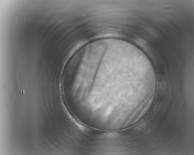 X0000063531282200602032126