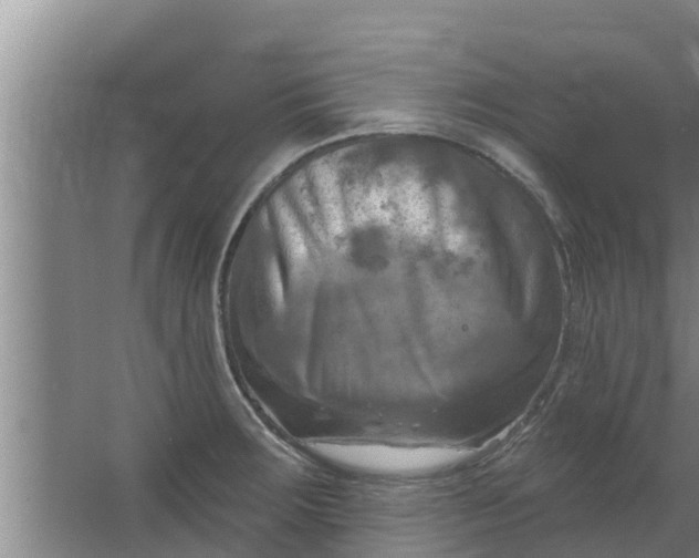 X0000063531283200602032126