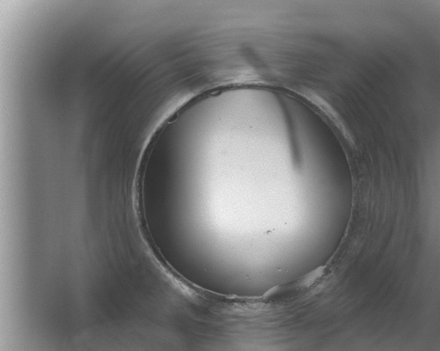 X0000063531285200602032126