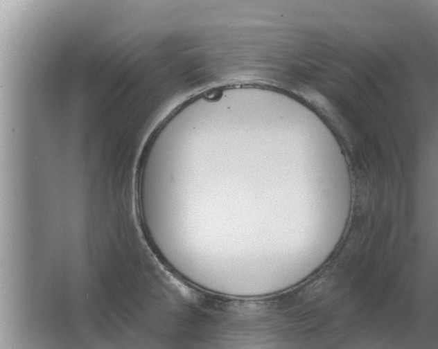 X0000063531286200602032126