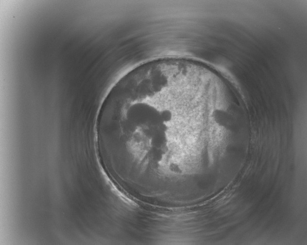 X0000063531287200602032126