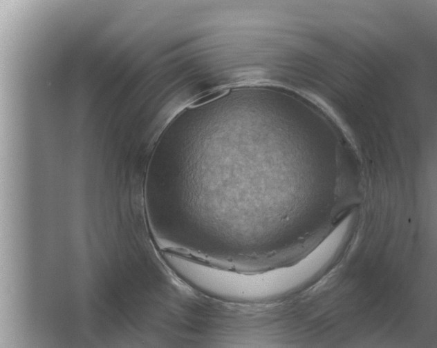 X0000063531289200602032126