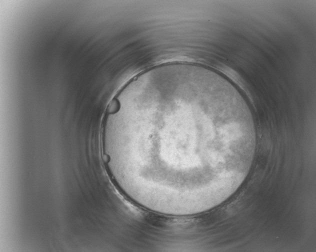 X0000063531290200602032126