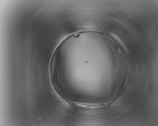 X0000063531291200602032126