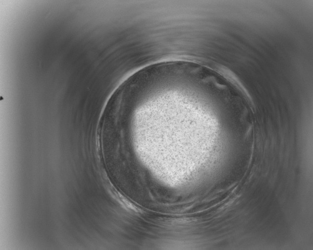 X0000063531292200602032126