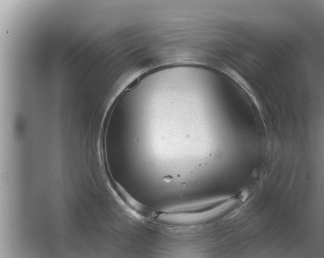 X0000063531293200602032126