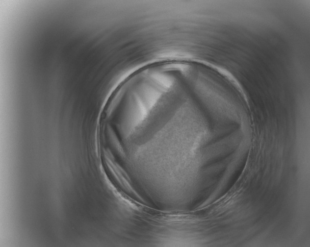 X0000063531295200602032126