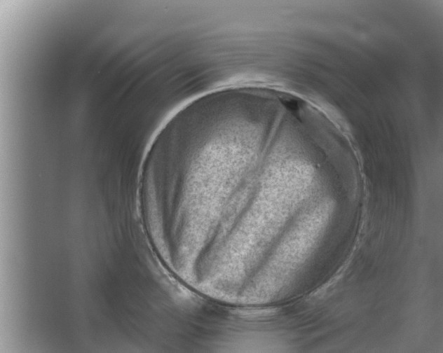 X0000063531296200602032126