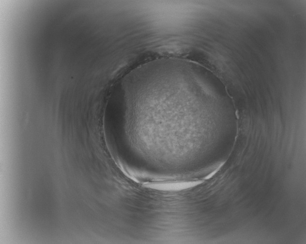 X0000063531297200602032125