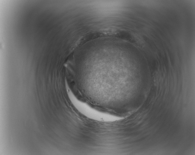 X0000063531298200602032125