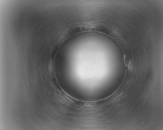 X0000063531299200602032125