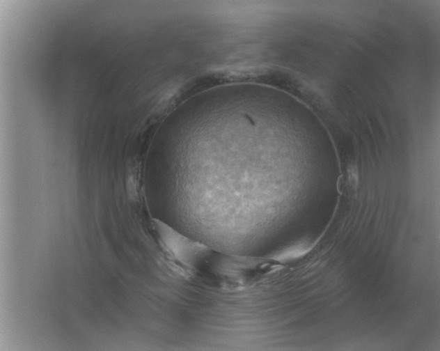 X0000063531300200602032125