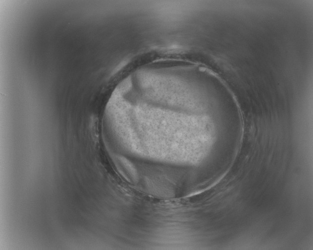 X0000063531301200602032125