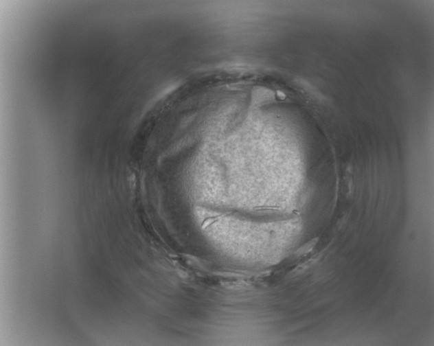 X0000063531302200602032126