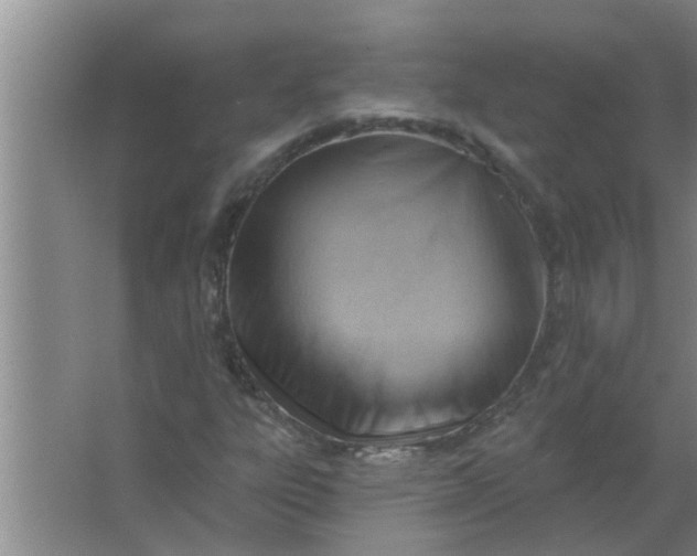 X0000063531303200602032126