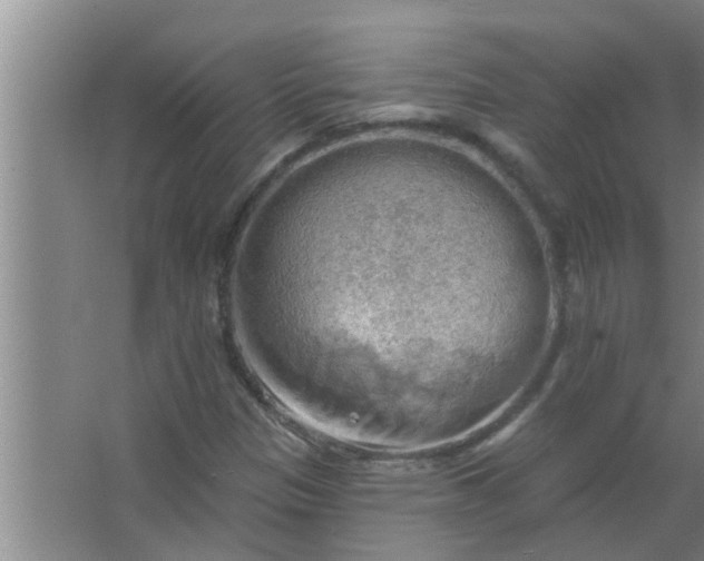 X0000063531305200602032126