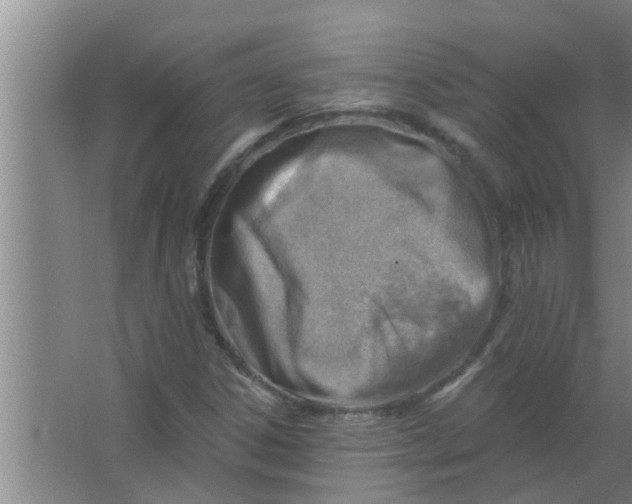 X0000063531306200602032126