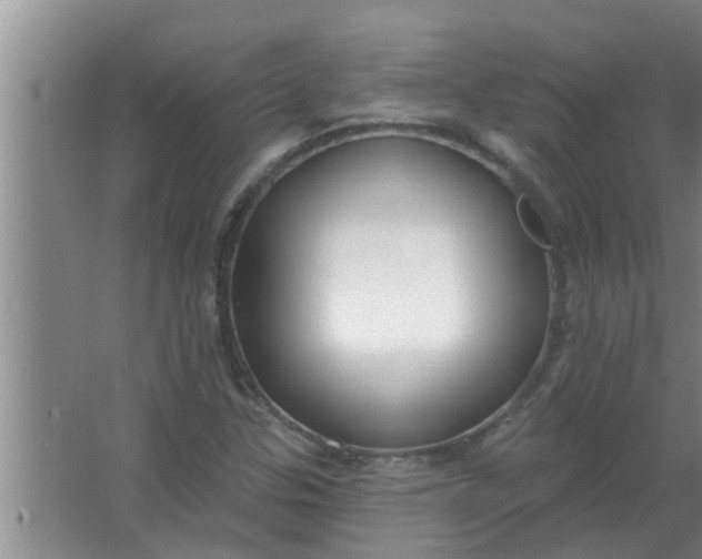 X0000063531307200602032126