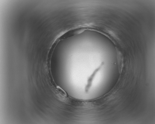 X0000063531308200602032126