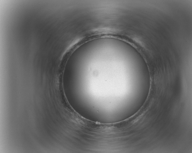 X0000063531309200602032126