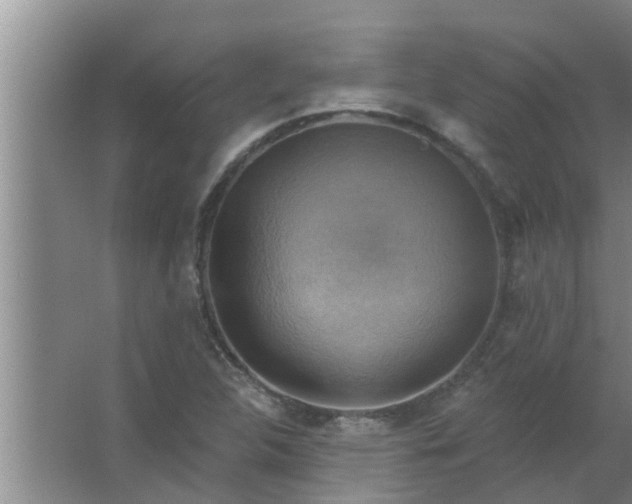 X0000063531312200602032126