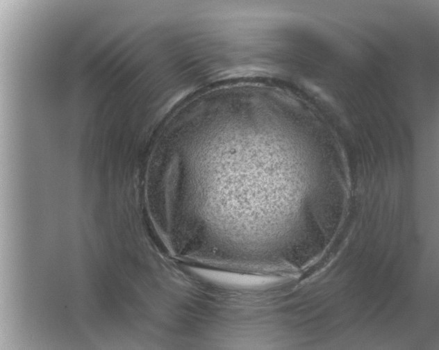 X0000063531313200602032126