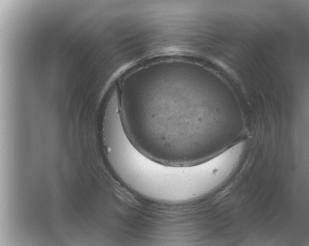 X0000063531314200602032126