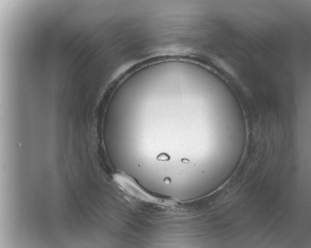 X0000063531315200602032126