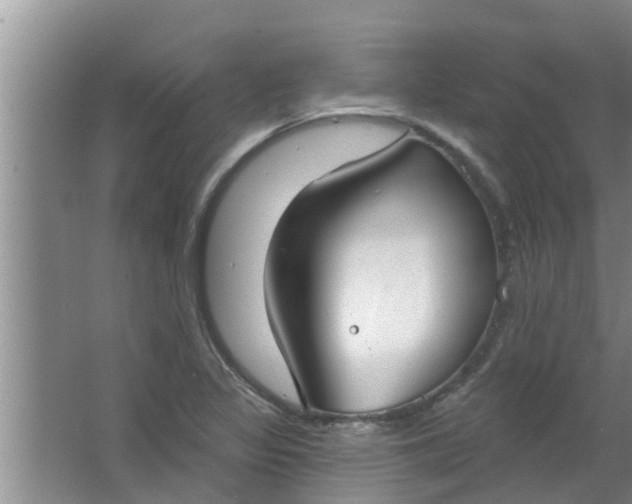 X0000063531317200602032126