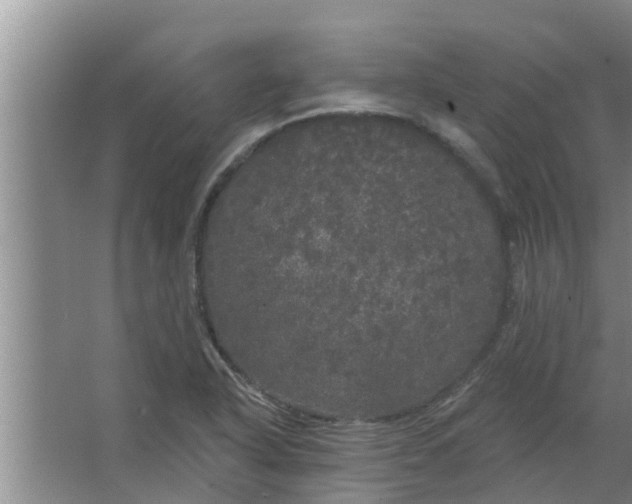 X0000063531318200602032126