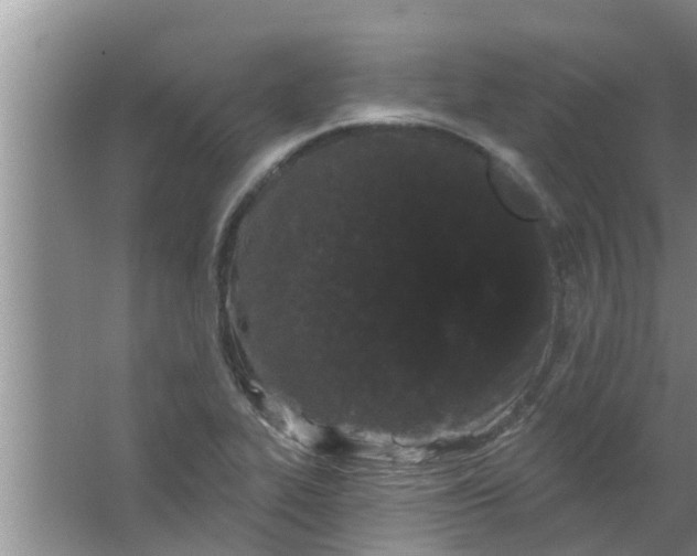 X0000063531319200602032126