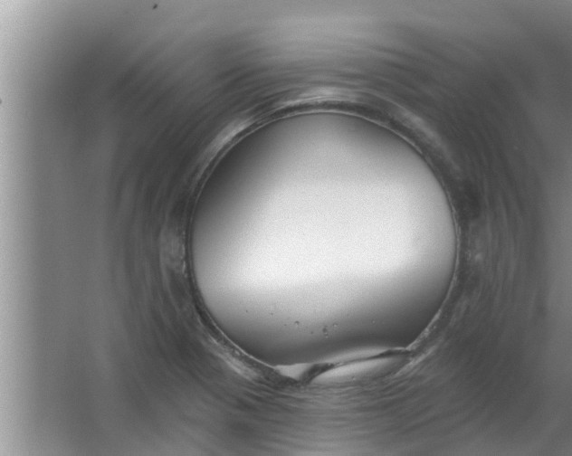 X0000063531321200602032126