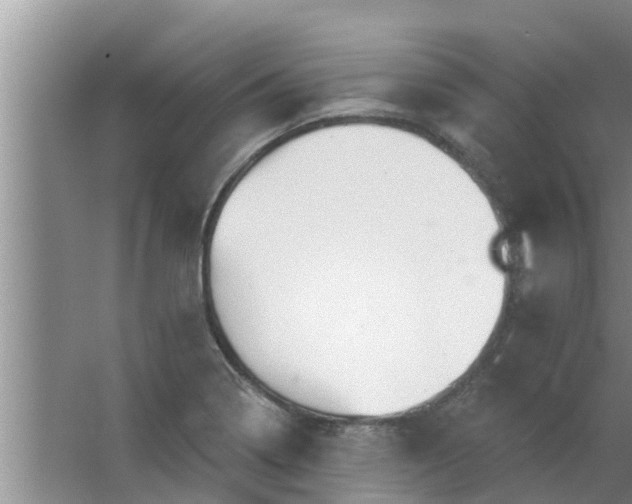 X0000063531322200602032126