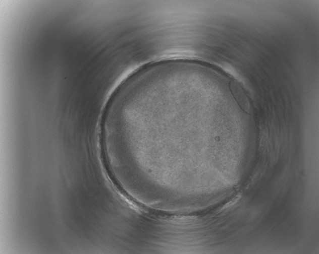 X0000063531325200602032126