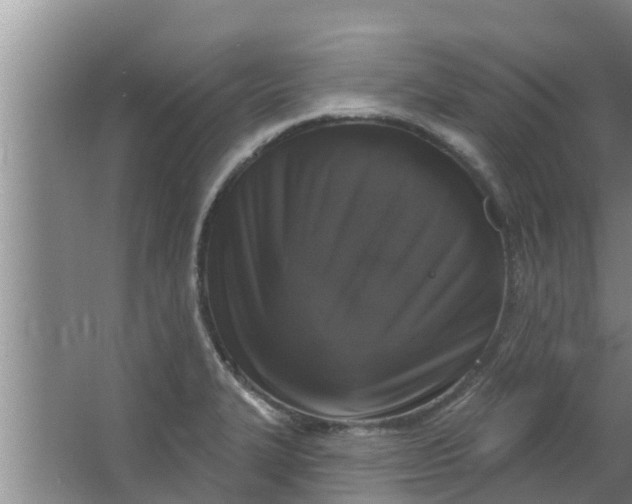 X0000063531327200602032126