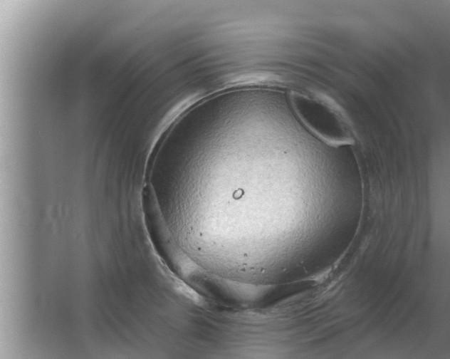 X0000063531330200602032126