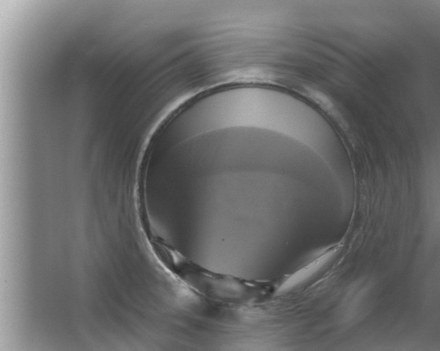 X0000063531331200602032126