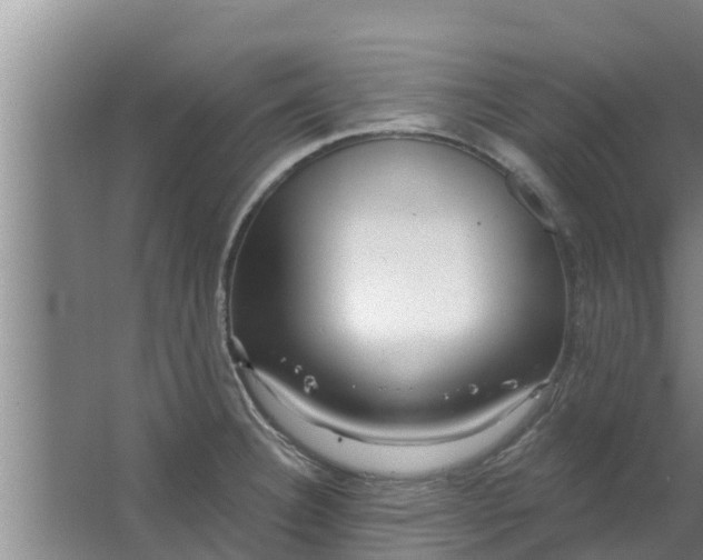 X0000063531332200602032126