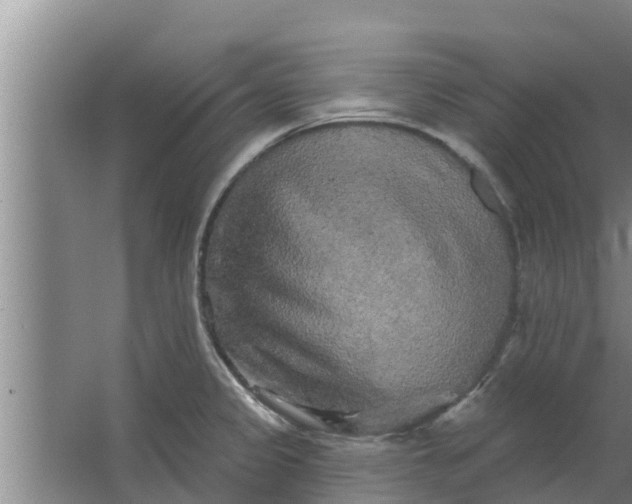 X0000063531333200602032126