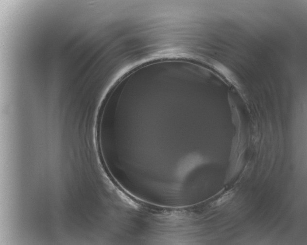 X0000063531334200602032126