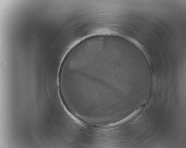 X0000063531335200602032126