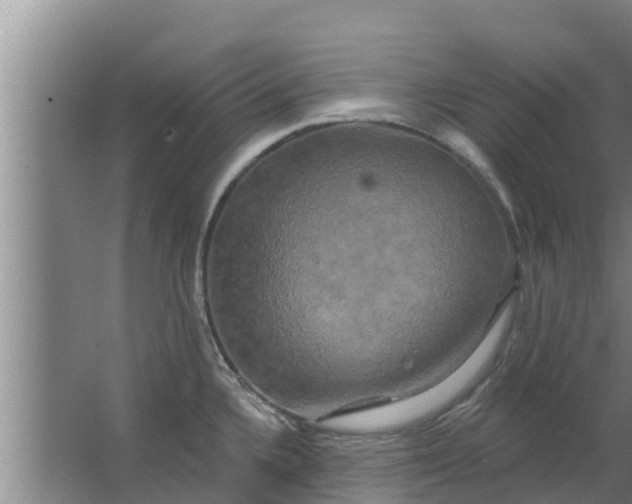 X0000063531336200602032126