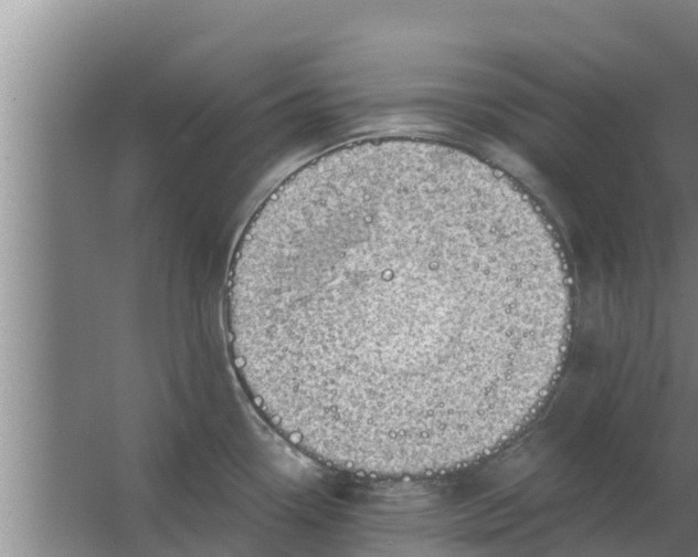 X0000063531338200602032126