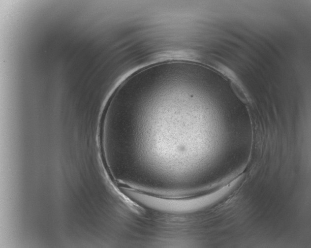 X0000063531339200602032126