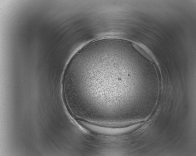 X0000063531341200602032126