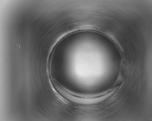 X0000063531342200602032126