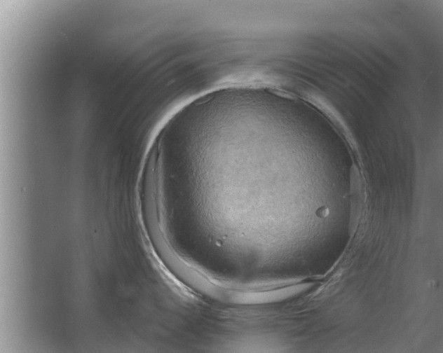 X0000063531344200602032126