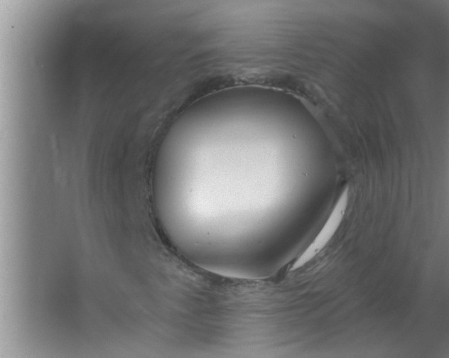 X0000063531345200602032125