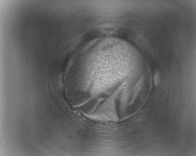 X0000063531347200602032125