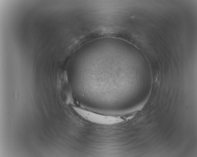 X0000063531348200602032125